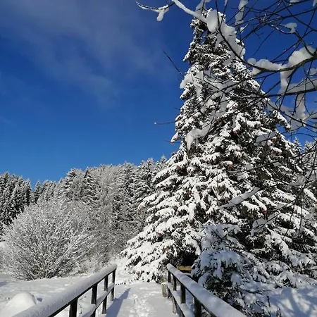 Familie Pichler Lejlighed