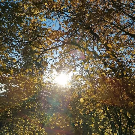 Familie Pichler * Neumarkt in Steiermark