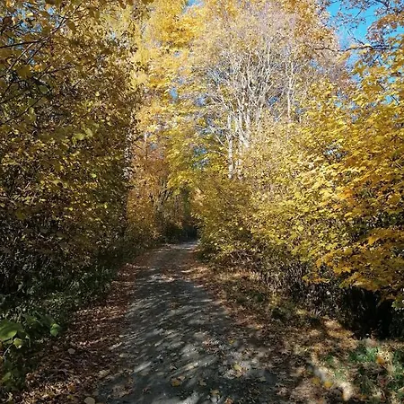 Familie Pichler Lejlighed *