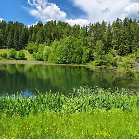 Familie Pichler Apartment Neumarkt in Steiermark