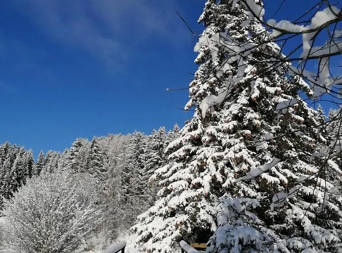 Familie Pichler 公寓