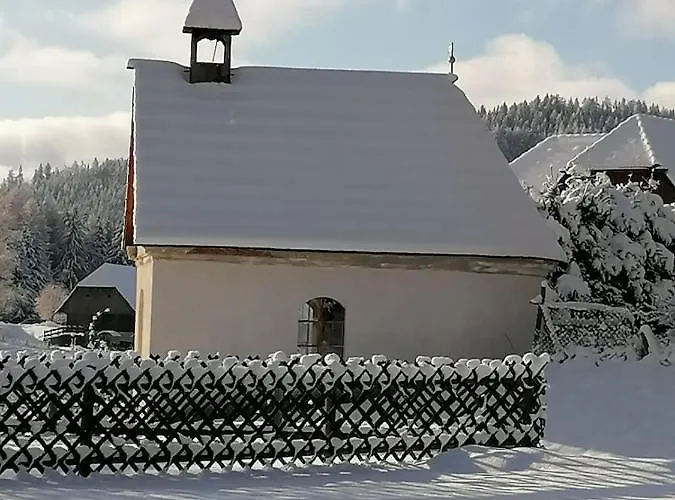 Familie Pichler 公寓 *