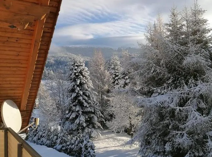 Familie Pichler 公寓 *