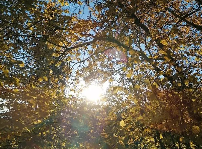 Familie Pichler * Neumarkt in Steiermark