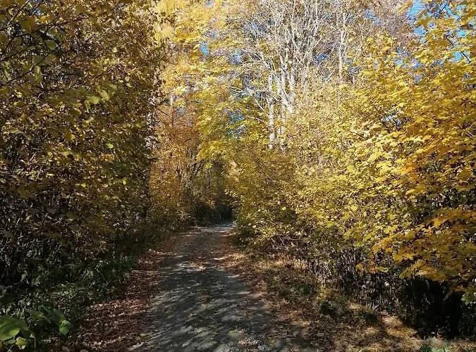 Familie Pichler 公寓 *