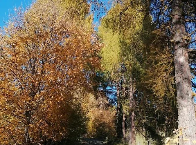 公寓 Familie Pichler *