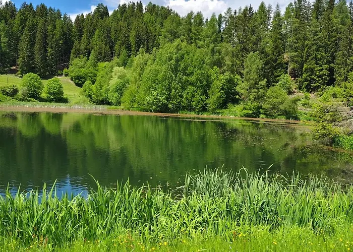 Familie Pichler 公寓 Neumarkt in Steiermark